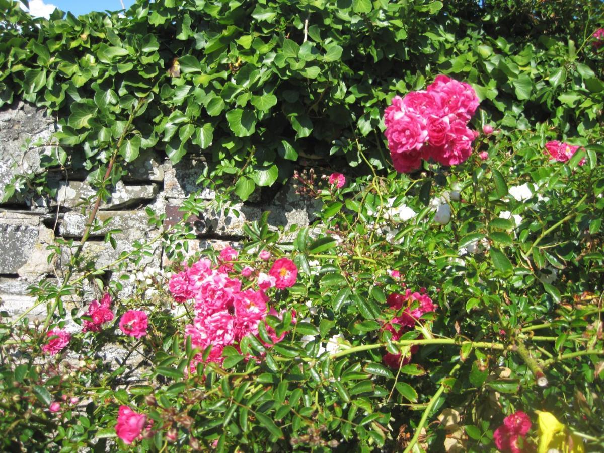 Colebrook Cottage Isle of Whithorn エクステリア 写真
